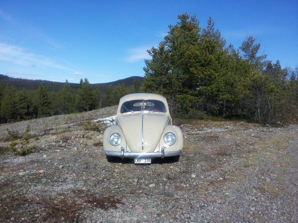 20120520_153444.jpg, 184.5 kb, 1024 x 768