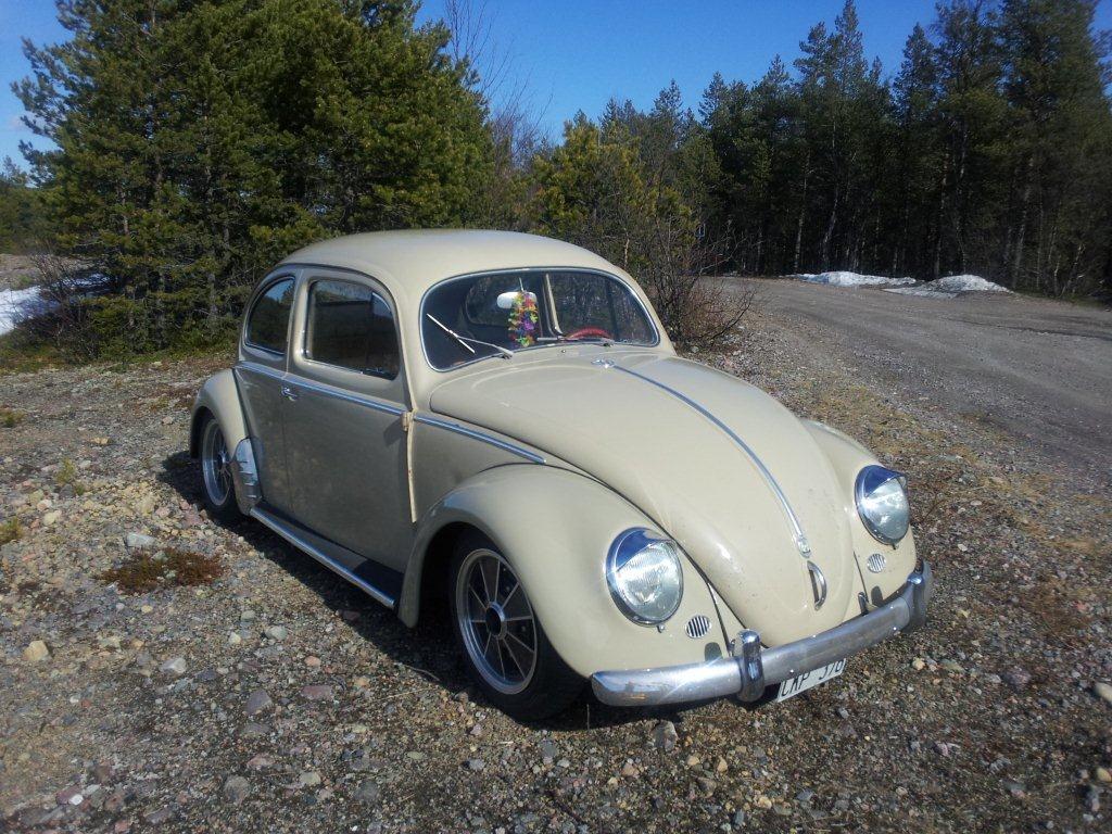 20120520_153545.jpg, 186.02 kb, 1024 x 768