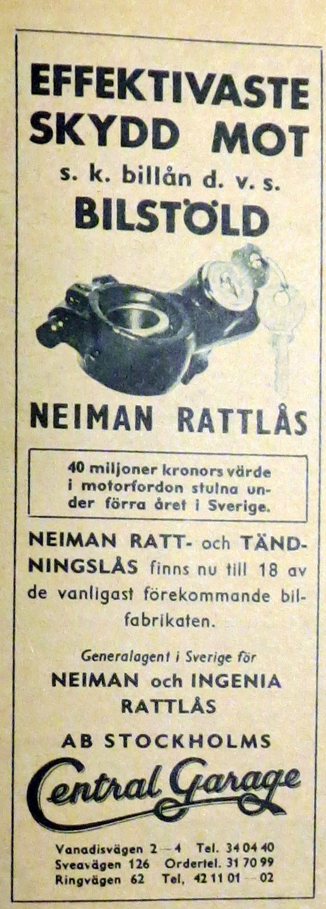 IMG_2863b (Large).jpg, 333.44 kb, 642 x 1791