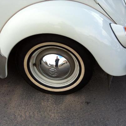 guldtian vita däcksida.jpg, 23.61 kb, 403 x 403