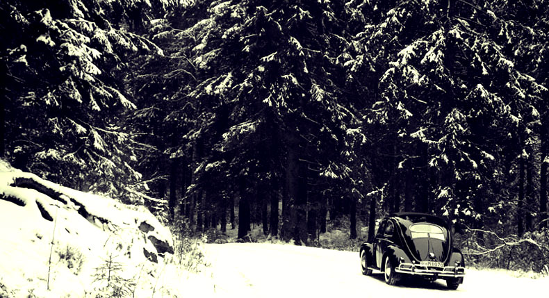 snow.jpg, 135.36 kb, 790 x 429