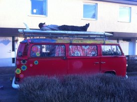 417737_3061557735493_289324203_n.jpg, 16.04 kb, 275 x 206