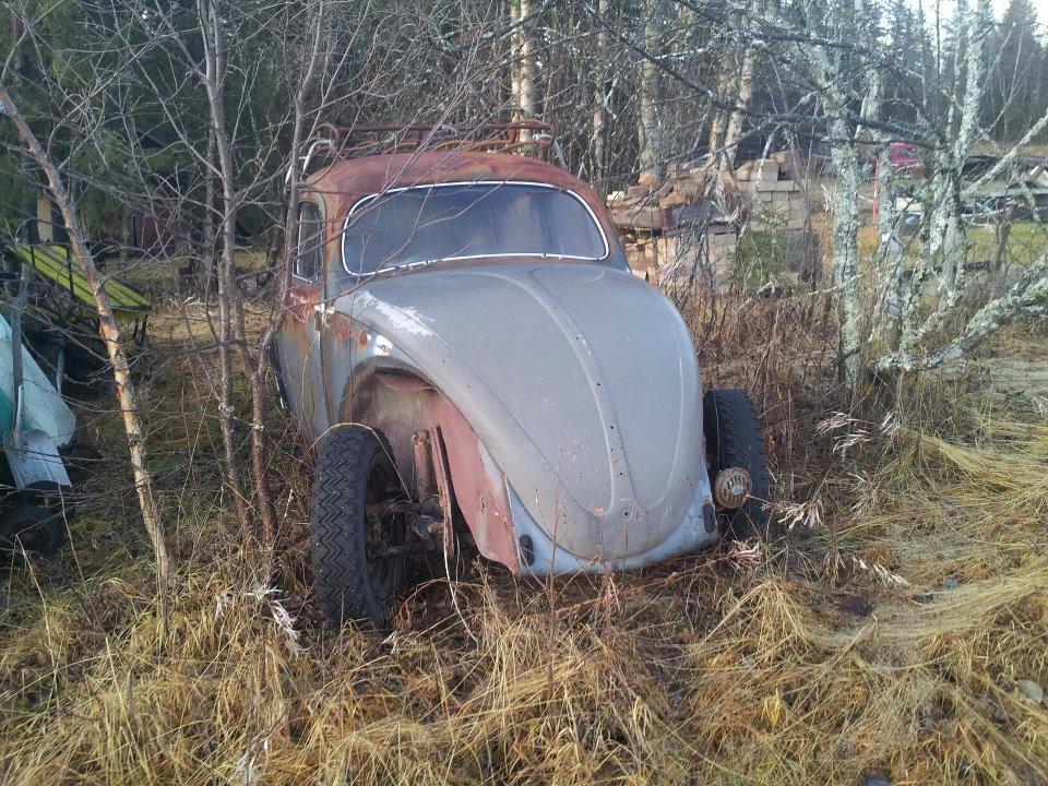 my55_1.JPG, 222.54 kb, 960 x 720