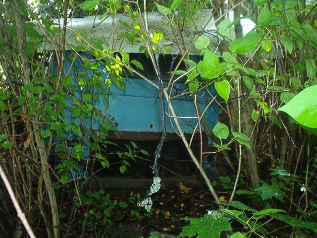 split skåpet 007.jpg, 66.87 kb, 640 x 480