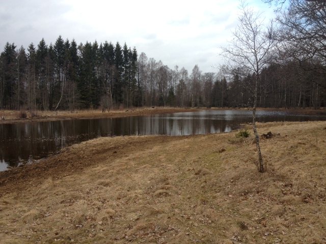 våtmark2.JPG, 151.17 kb, 640 x 480