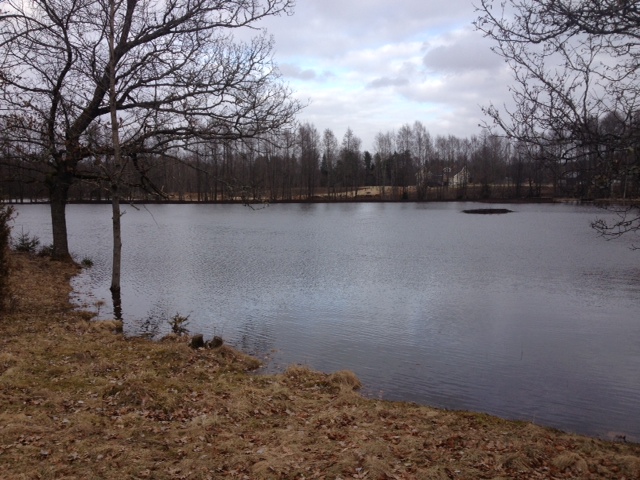 våtmark1.JPG, 157.71 kb, 640 x 480