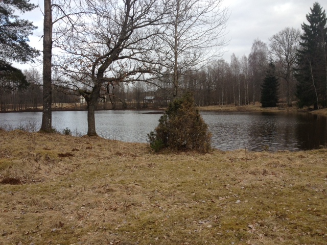 våtmark3.JPG, 184.11 kb, 640 x 480