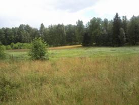 innan2.jpg, 10.12 kb, 274 x 206