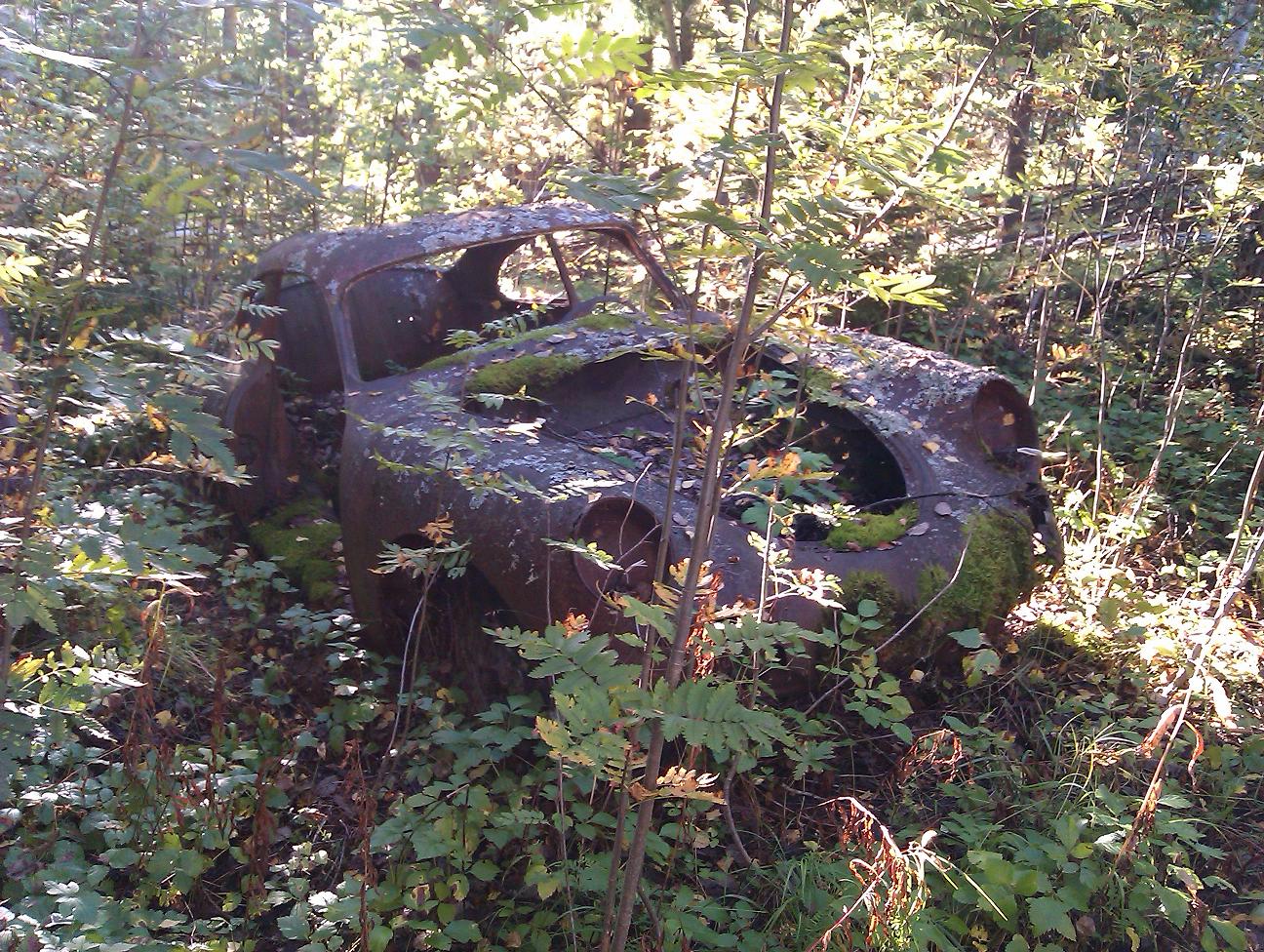 2011-09-10 016 P.JPG, 385.26 kb, 1296 x 976