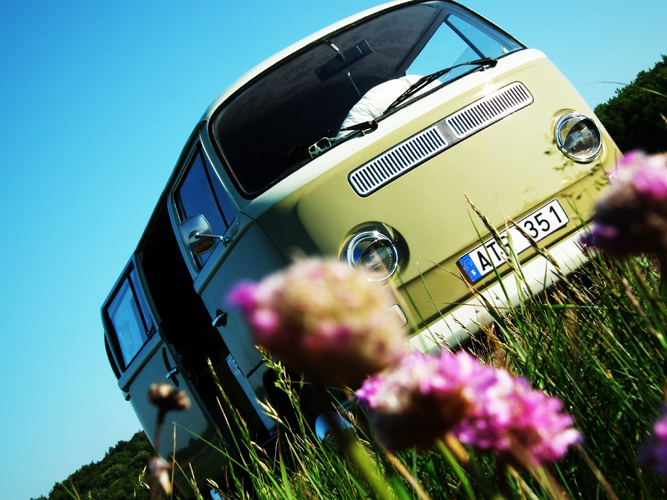 DSCF2647 copy.jpg, 334.63 kb, 667 x 500