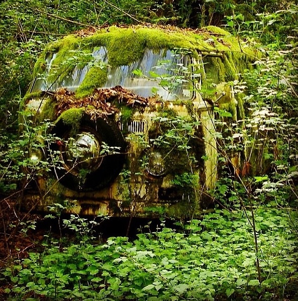 image.jpg, 258.02 kb, 593 x 599