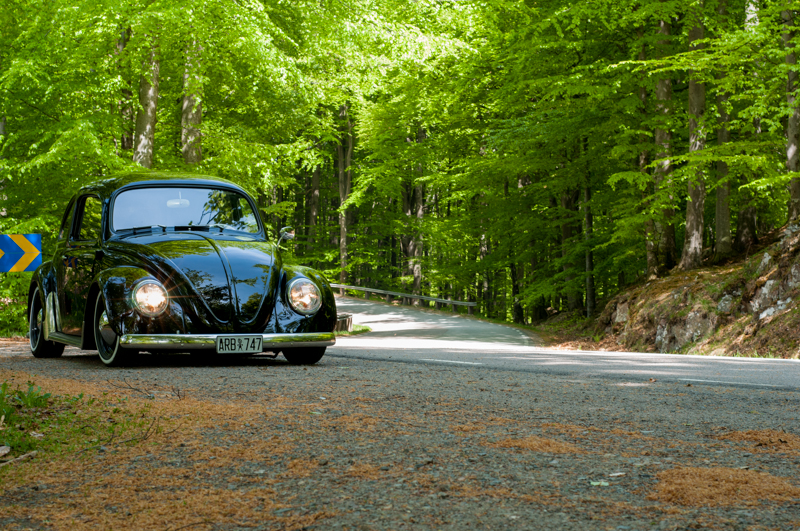 _DSC5188-2.jpg, 685.48 kb, 800 x 531