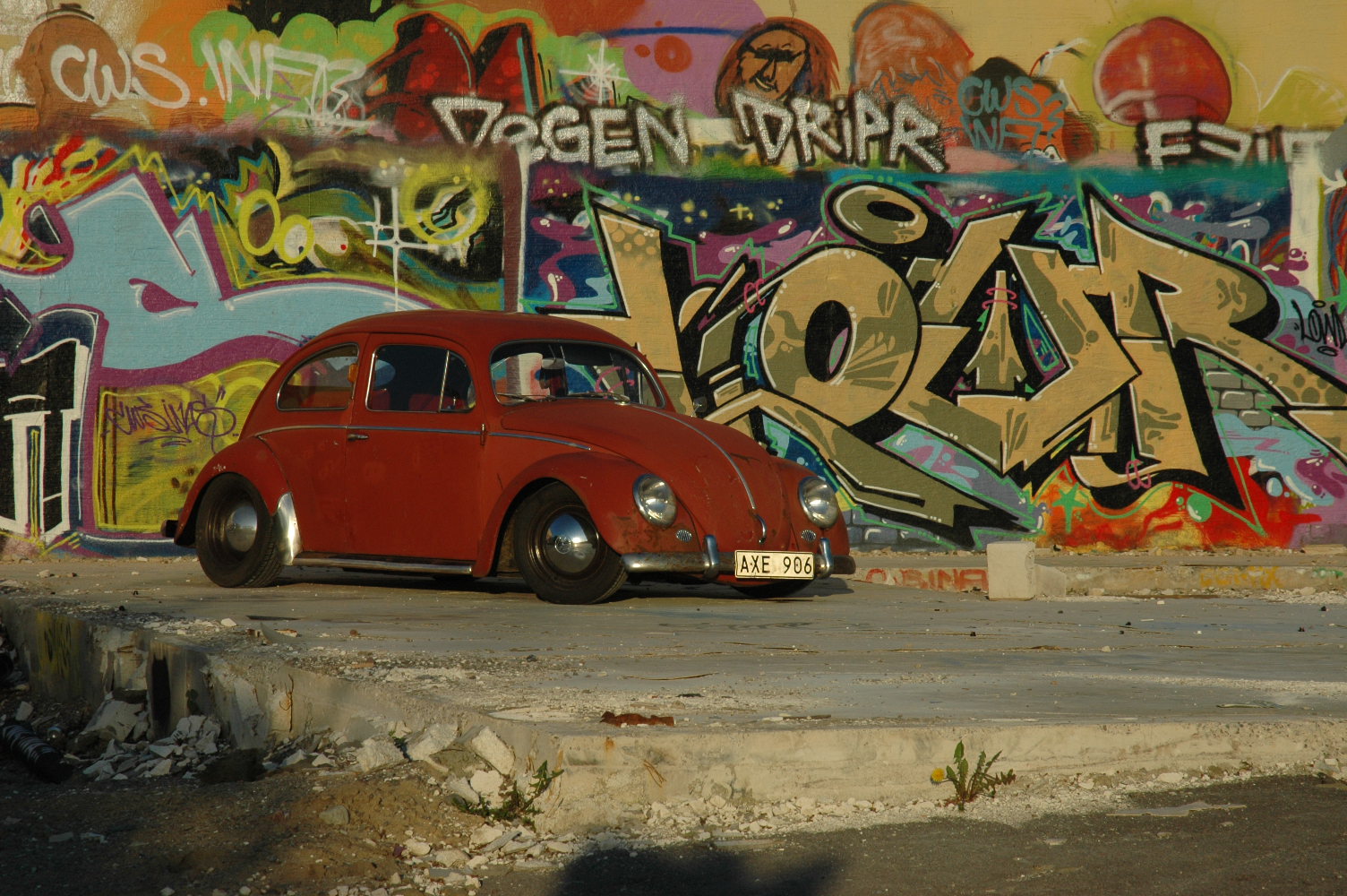 DSC_0131.JPG, 400.82 kb, 1504 x 1000