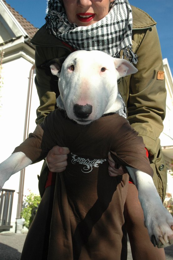 552_DSC_0012.jpg, 85.75 kb, 552 x 830