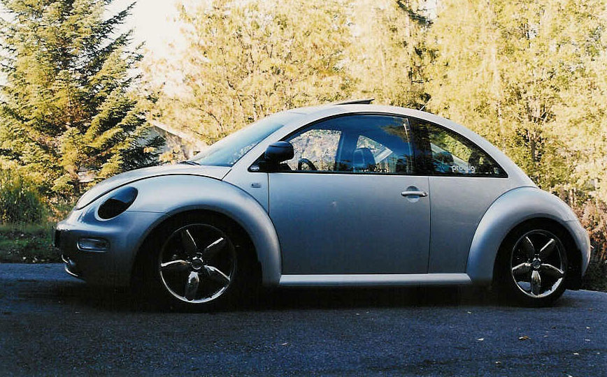Beetle 002.jpg, 168.98 kb, 868 x 540