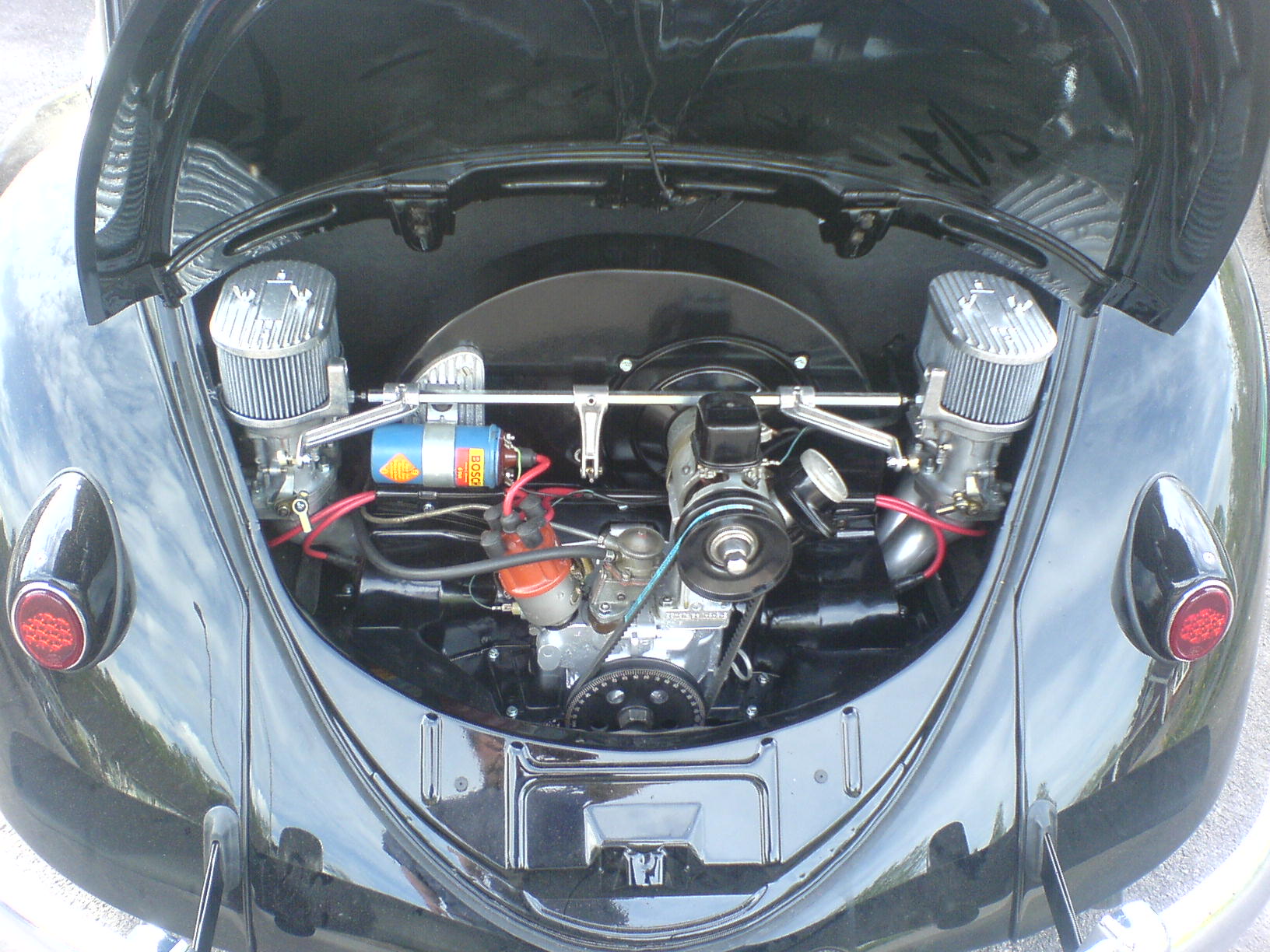 dhgjjk 012.JPG, 324.79 kb, 1632 x 1224