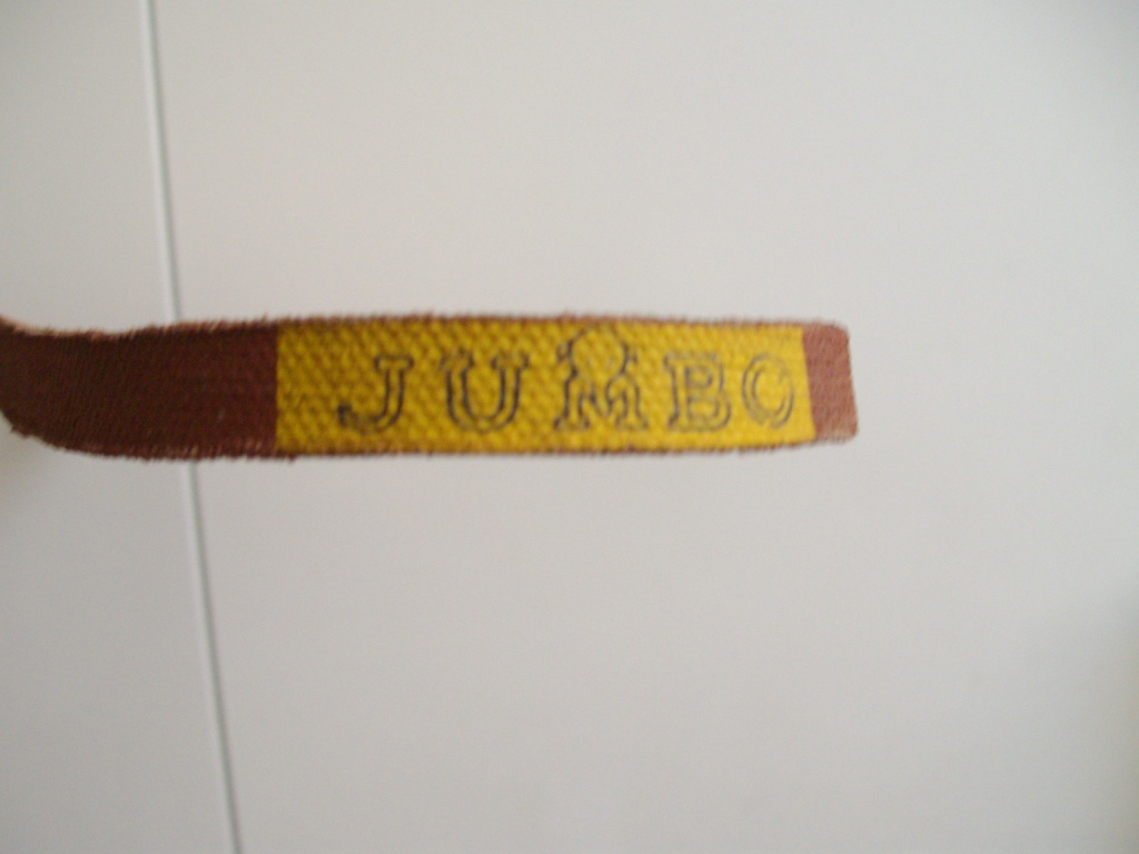 Jumbo.jpg, 137.01 kb, 1024 x 768