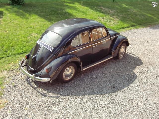 6129890170.jpg, 102.5 kb, 640 x 480