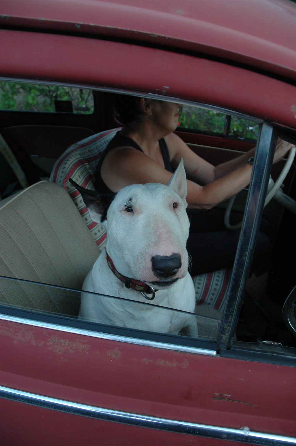 DSC_0155.jpg, 476.53 kb, 1000 x 1504