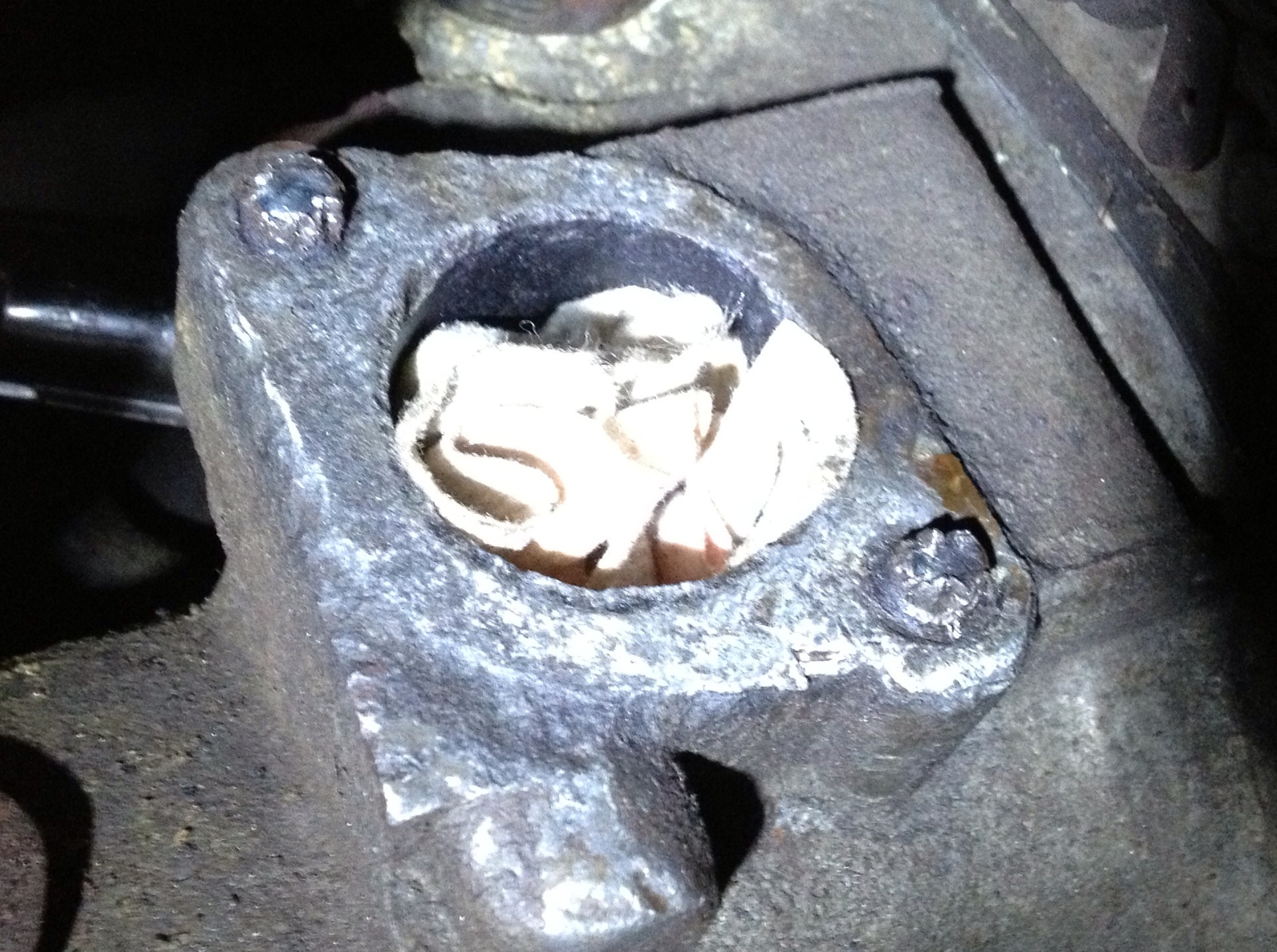 image.jpg, 839.78 kb, 1925 x 1435