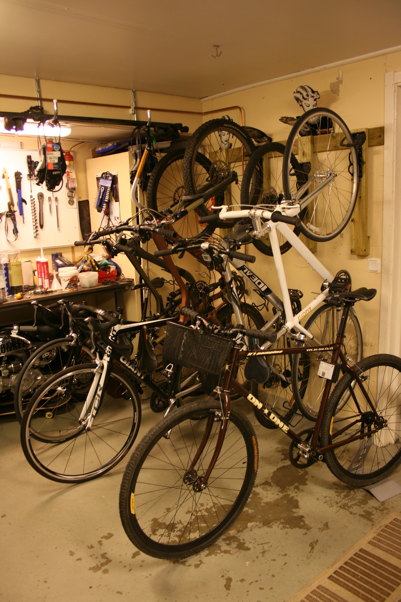 IMG_0496.JPG, 821 kb, 1296 x 1944