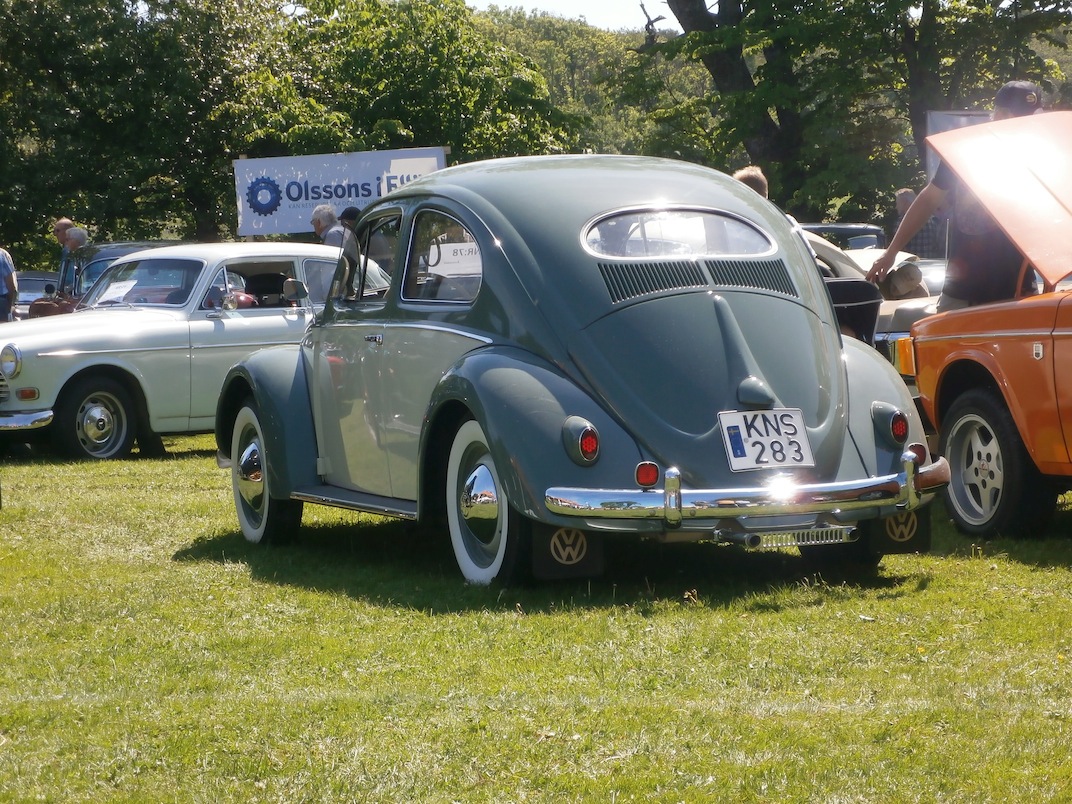 P6080497.JPG, 399.71 kb, 1072 x 804