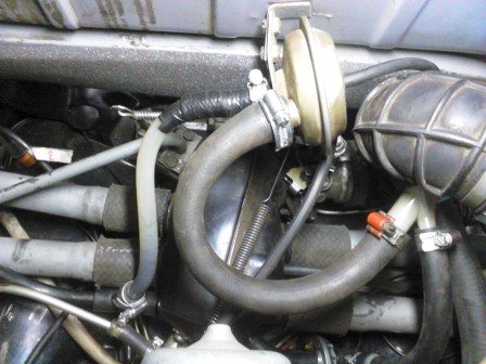 bild 2.jpg, 52.2 kb, 448 x 336