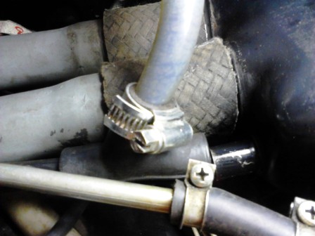 bild 1.jpg, 39.93 kb, 448 x 336