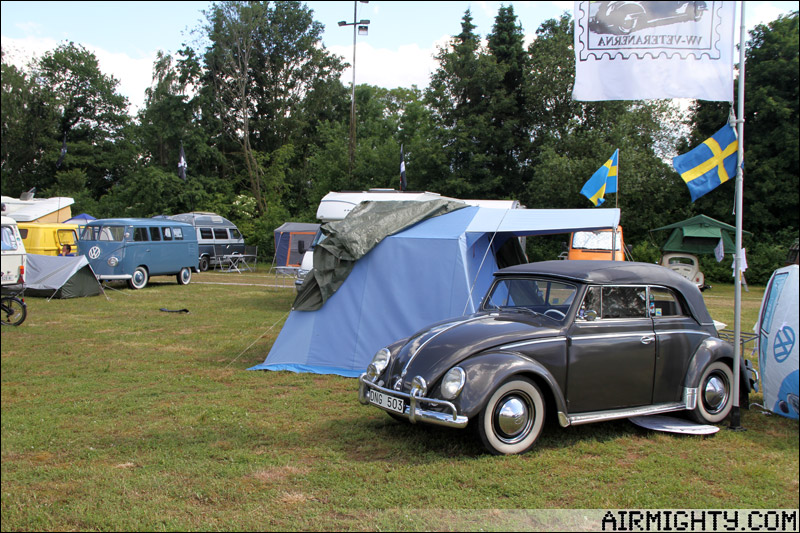 IMG_9514.jpg, 195.3 kb, 800 x 533