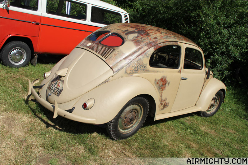 IMG_9528.jpg, 183.42 kb, 800 x 533