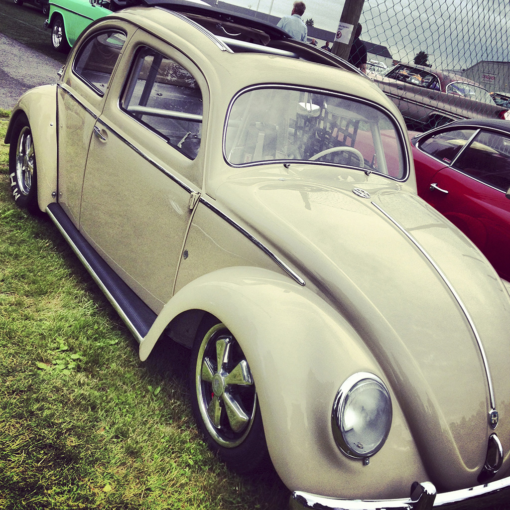 IMG_1214.JPG, 589.08 kb, 1024 x 1024