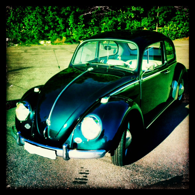 bild.JPG, 441.97 kb, 640 x 640