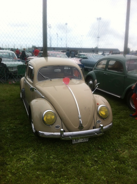 IMG_1504.jpg, 132.06 kb, 567 x 759