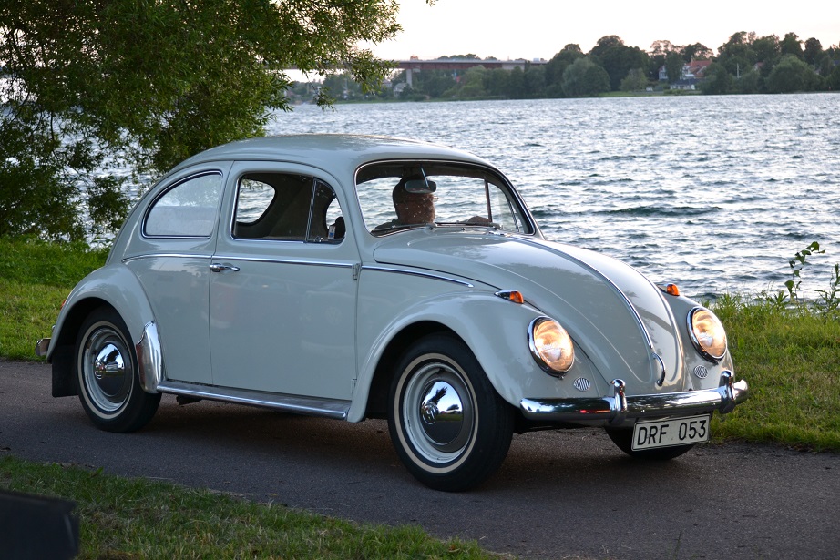 1DSC_0081.jpg, 293.96 kb, 922 x 615