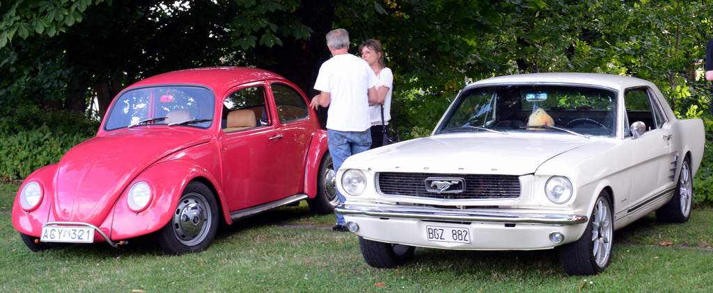 DSC_0229crop.JPG, 75.59 kb, 1024 x 422