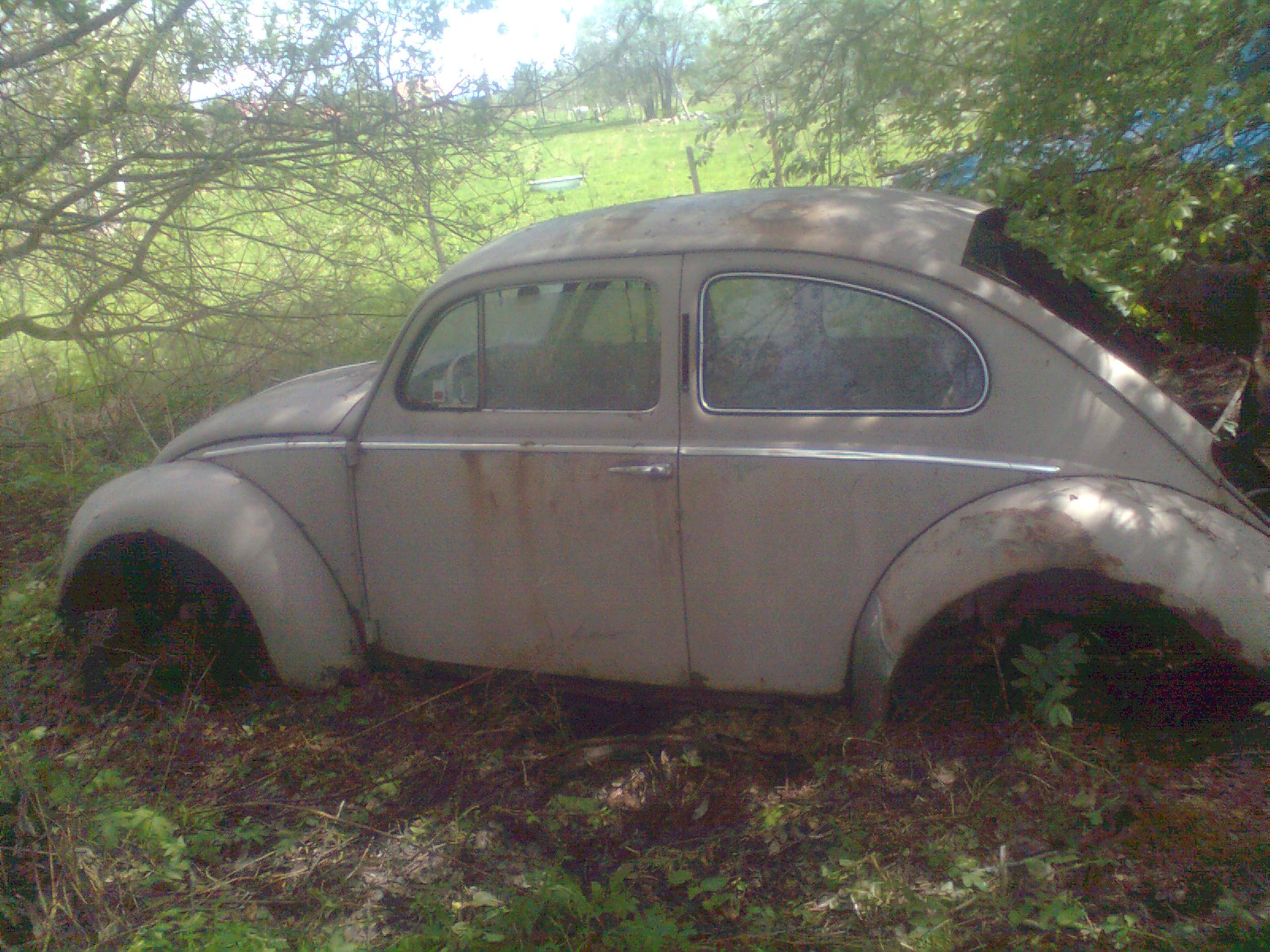 Bild1116.jpg, 528.63 kb, 1600 x 1200