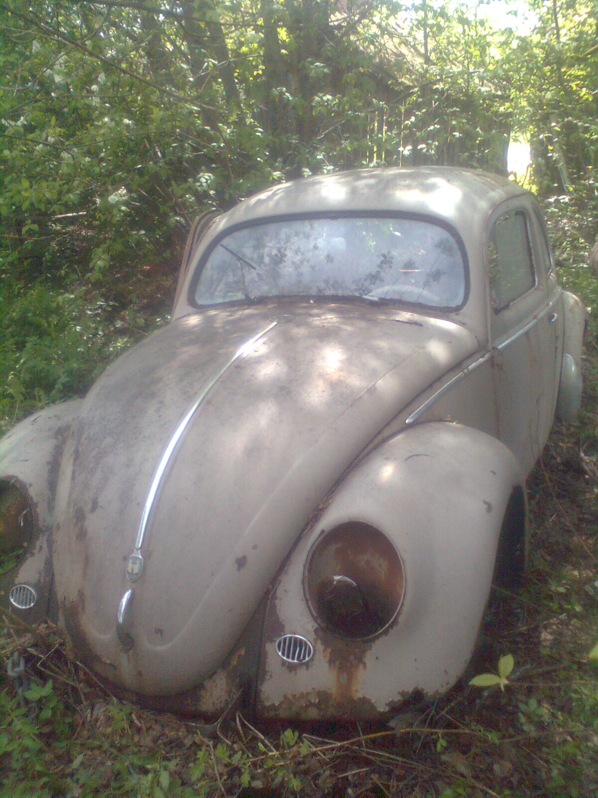 Bild1115.jpg, 450.26 kb, 1200 x 1600