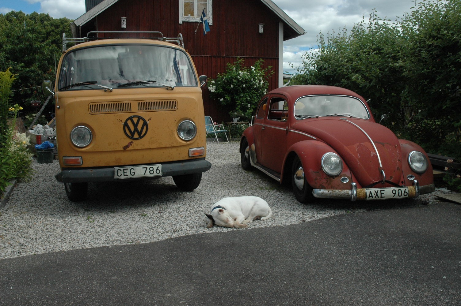 DSC_0227.jpg, 484.41 kb, 1504 x 1000