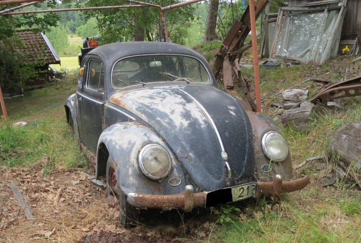 IMG_7433bB (Small).jpg, 143.85 kb, 711 x 480