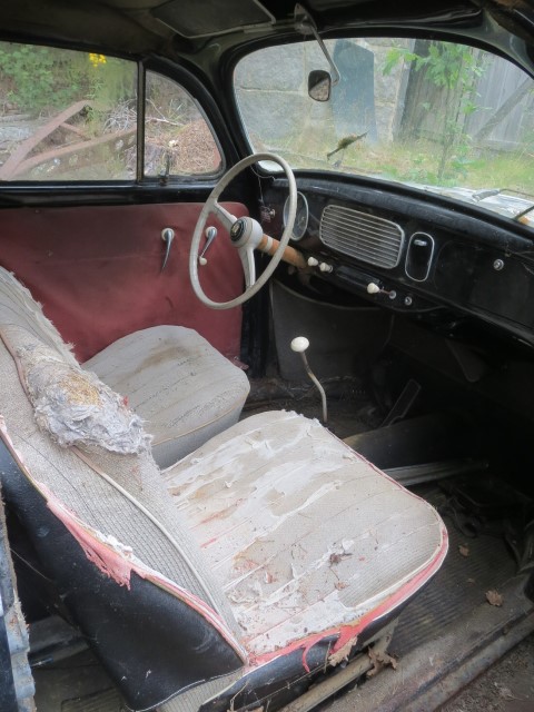 IMG_7434 (Small).JPG, 85.2 kb, 480 x 640