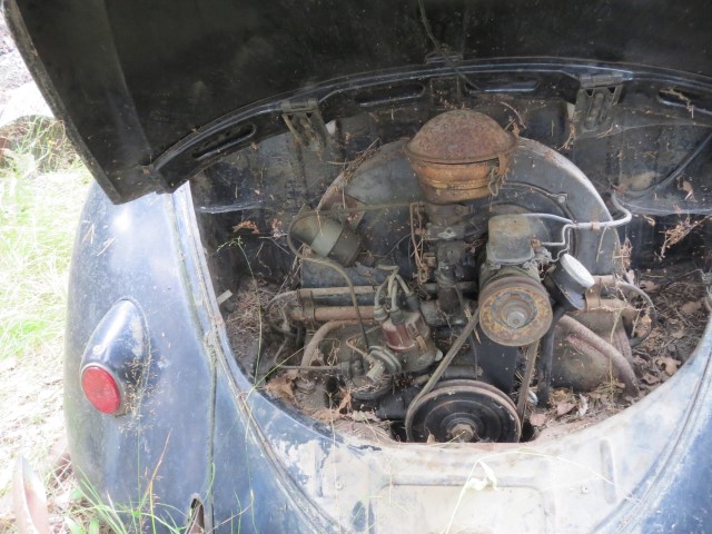 IMG_7446 (Small).JPG, 105.58 kb, 640 x 480