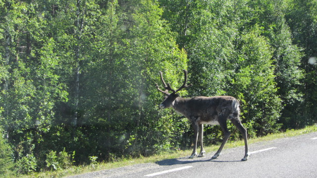 IMG_1500.JPG, 164.09 kb, 640 x 360