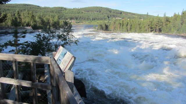 IMG_1480.JPG, 110.79 kb, 640 x 360