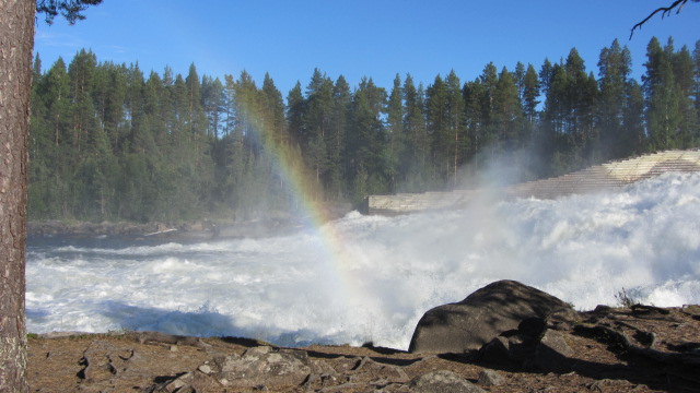 IMG_1484.JPG, 97.9 kb, 640 x 360