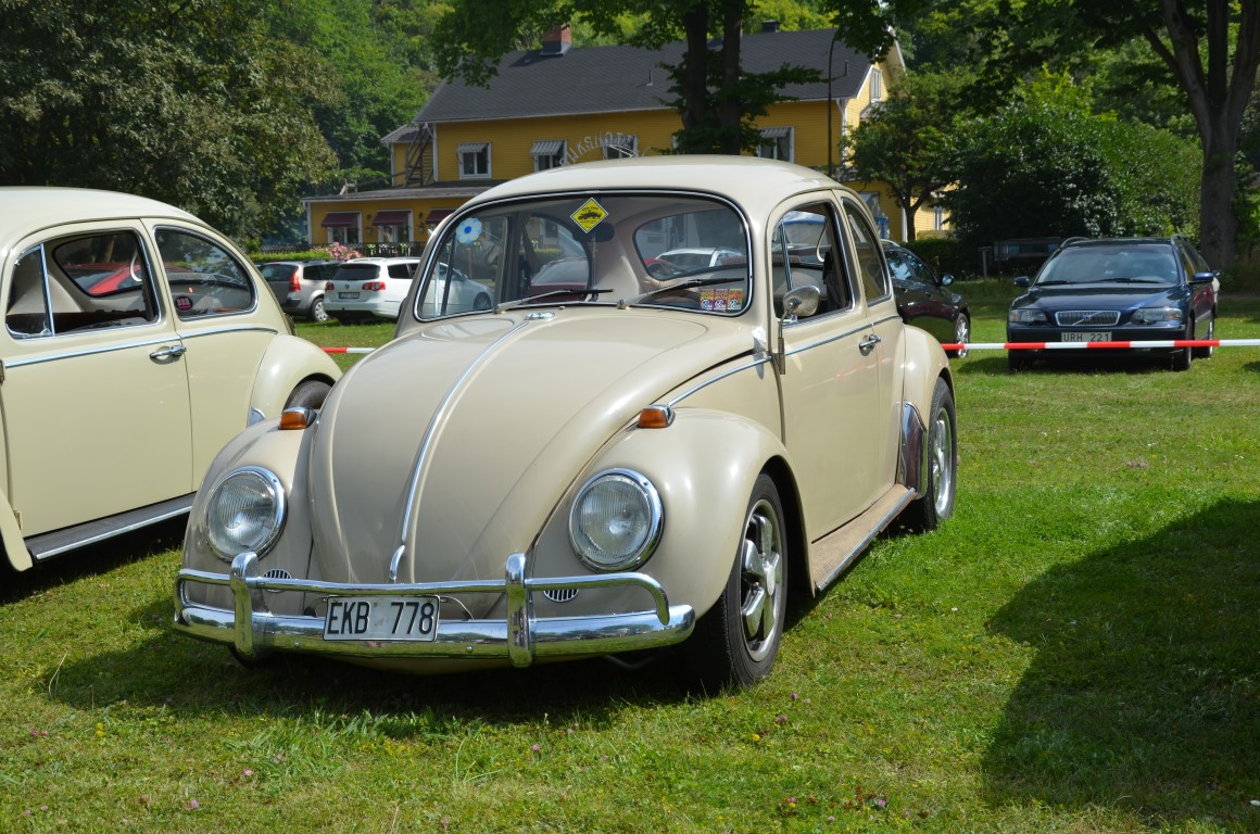 KGS_0395_1911 (Medium).JPG, 344.12 kb, 1160 x 768