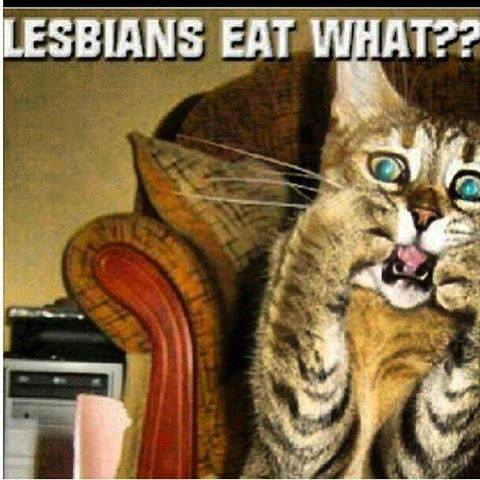 971928_618272464883966_1170685718_n.jpg, 42.1 kb, 480 x 480