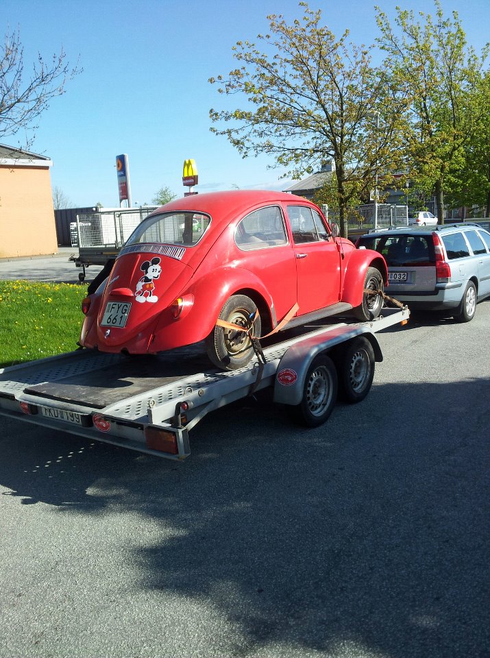 musse2.jpg, 196.23 kb, 715 x 960