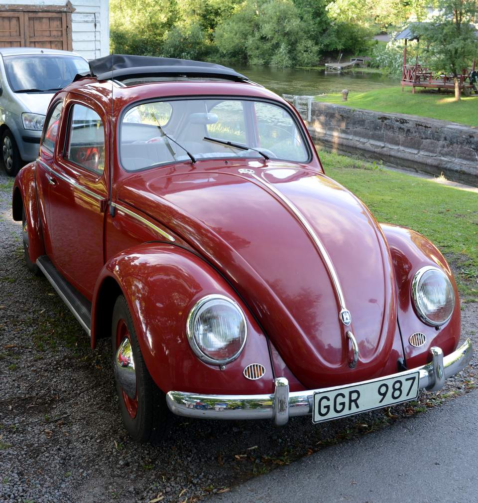 DSC_0247crop.JPG, 169.6 kb, 960 x 1009