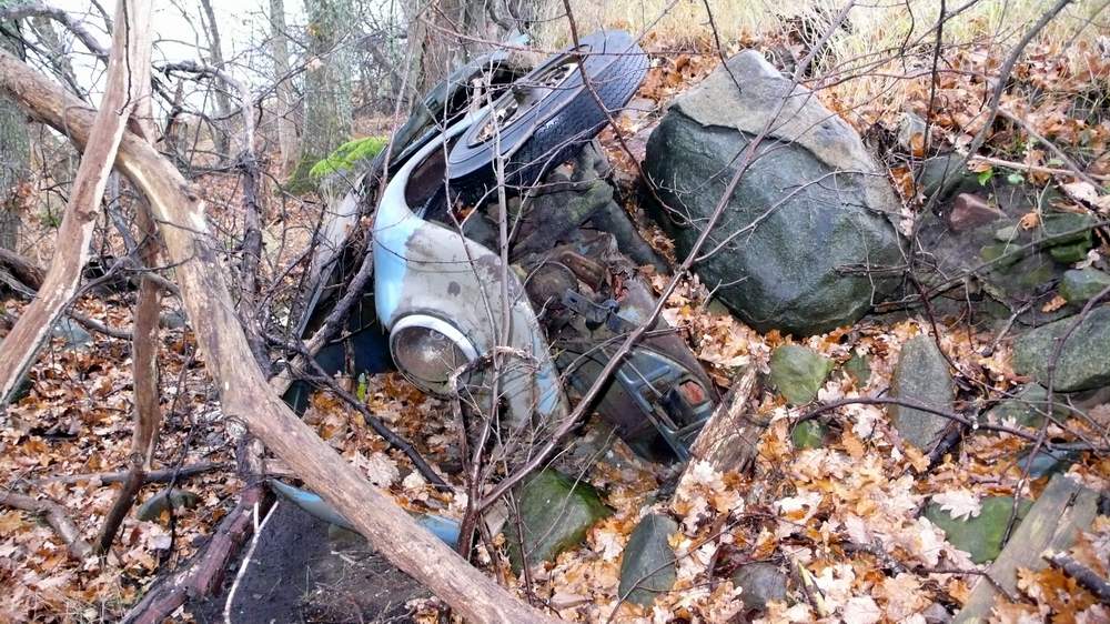 P1000903crop.JPG, 147.42 kb, 1000 x 562