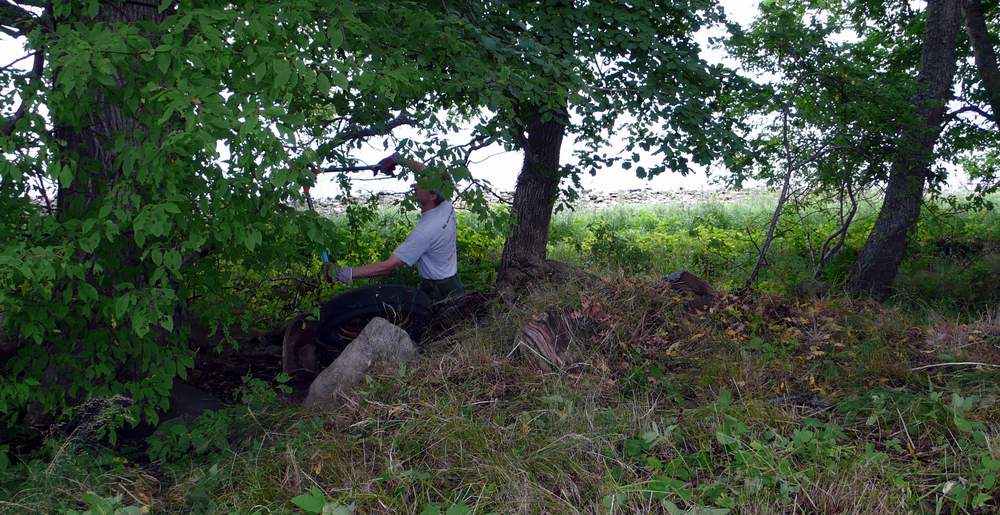 P1010638crop.JPG, 124.87 kb, 1000 x 515